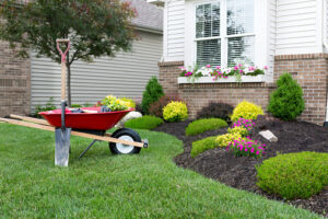 Landscaping & Environmental Beautification